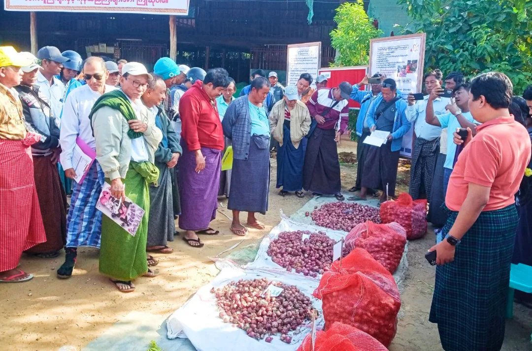 Farmers at onion collective selling event