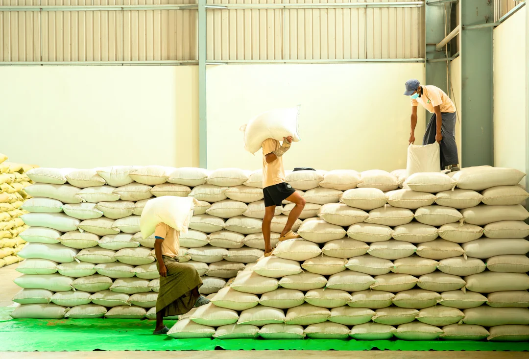 Workers stacking sacks in warehouse