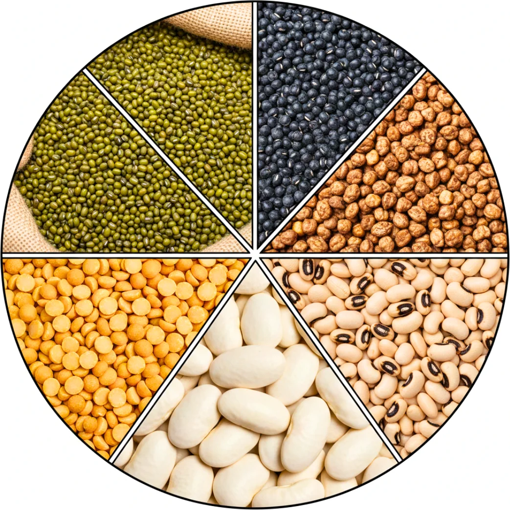 Pulses traded by MMTW