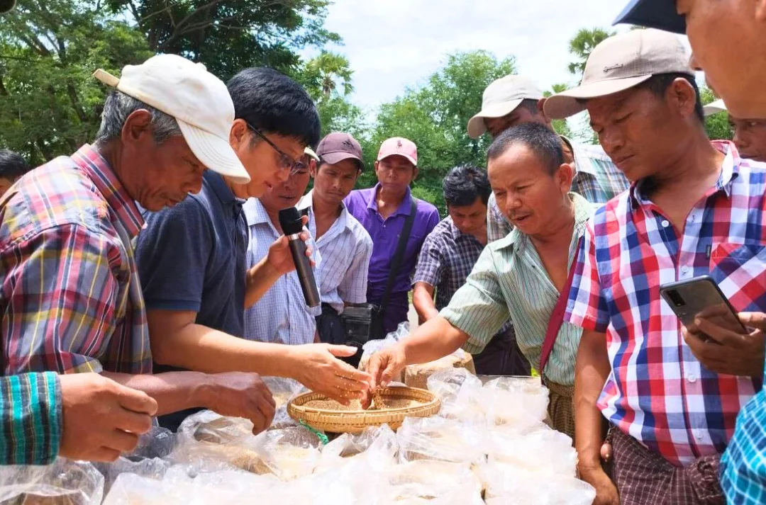 Farmers inspecting crop samples at selling event