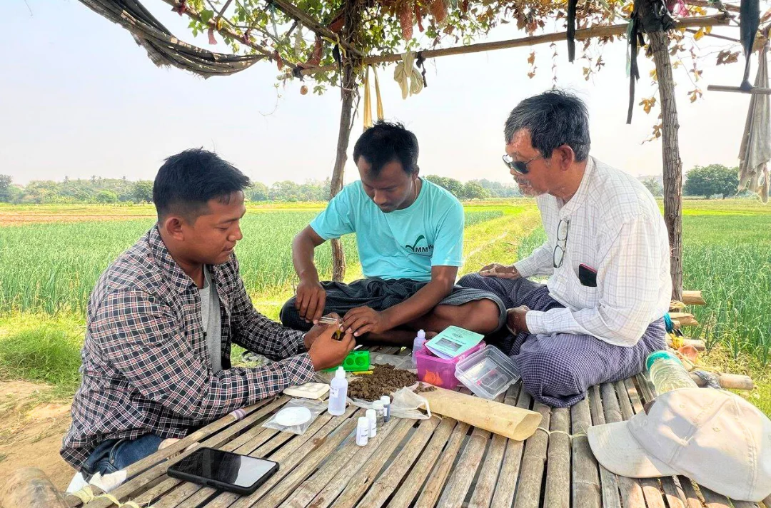 Field visit with farmers on bamboo platform near crops